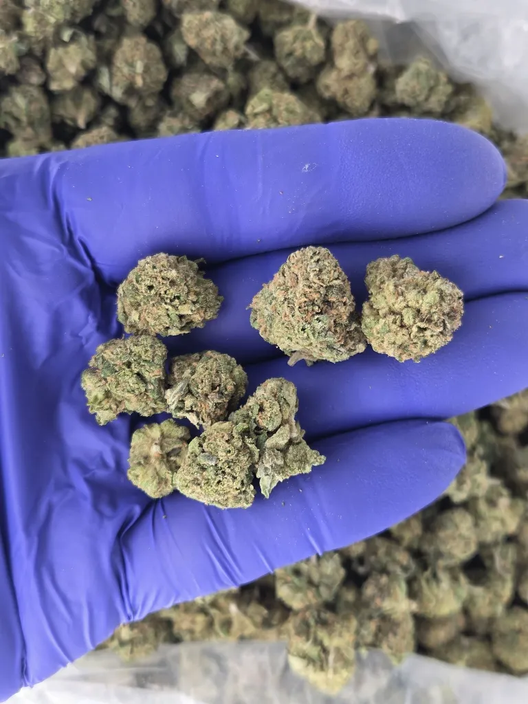 Blue andeze nugs.webp
