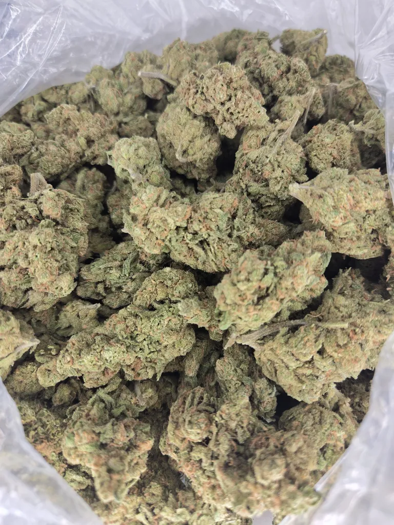 Blue dream 1.webp