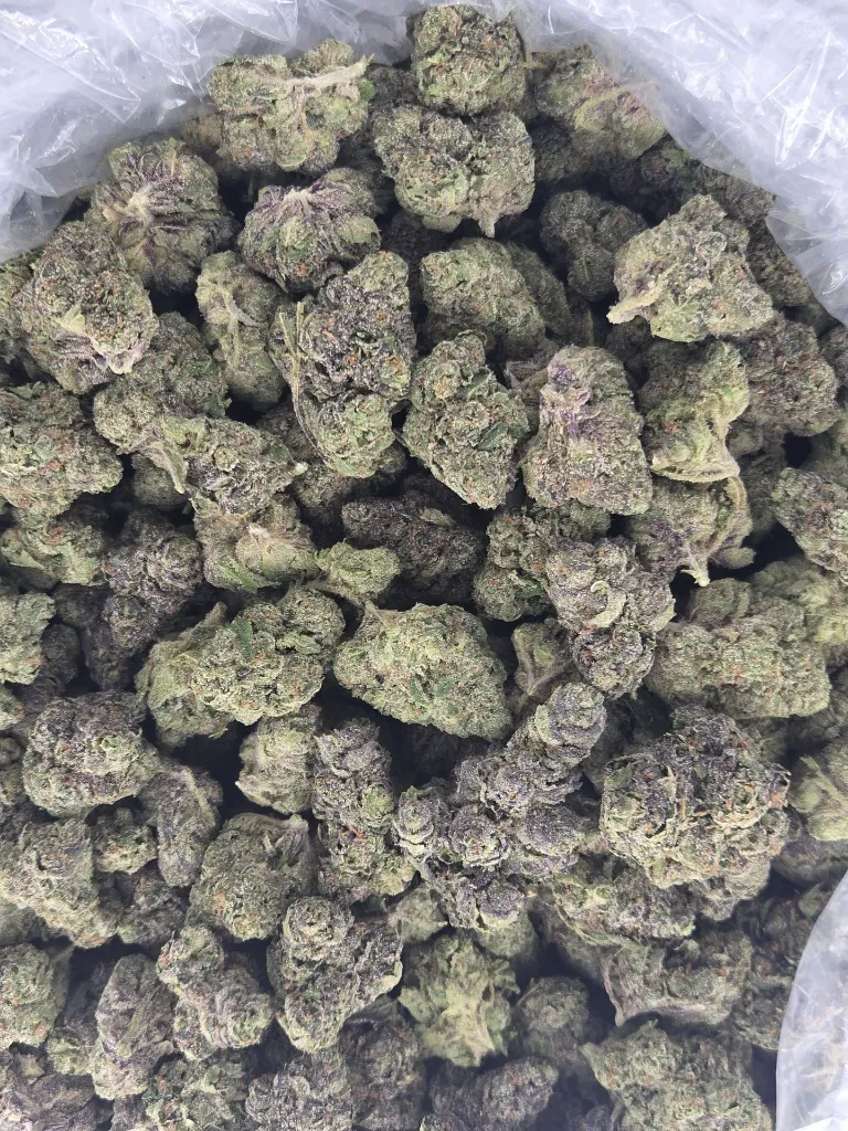Candy Gelato 3.webp