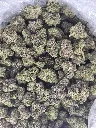 Candy Gelato 3.webp