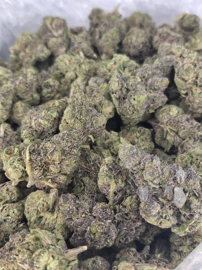 Candy gelato 1.webp