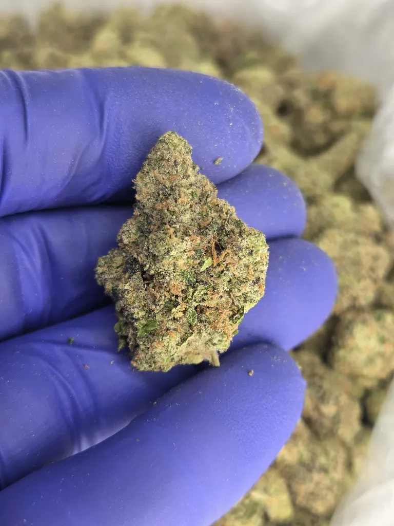 Bubble bath nug.webp