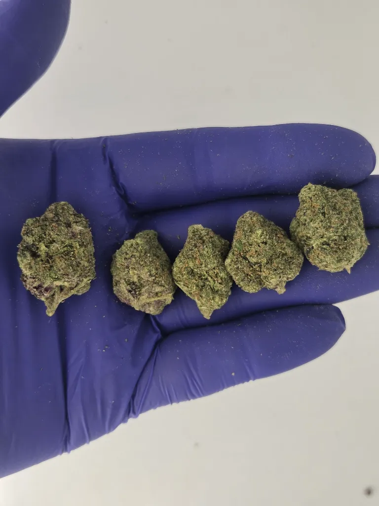 Gary peyton nugs.webp