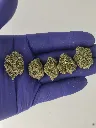 Gary peyton nugs.webp