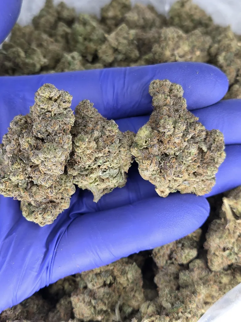 Mandarin zmoothie nugs.webp