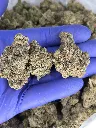 Mandarin zmoothie nugs.webp