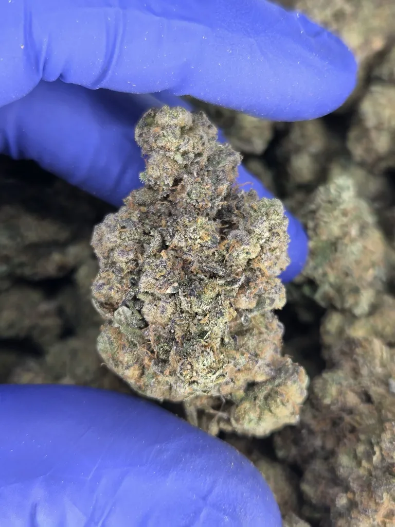 Mandarin zmoothie nug.webp