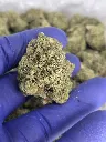 Paradise melts nug.webp