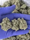 Paradise melts nugs.webp