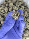 Rainbow runtz nug.webp