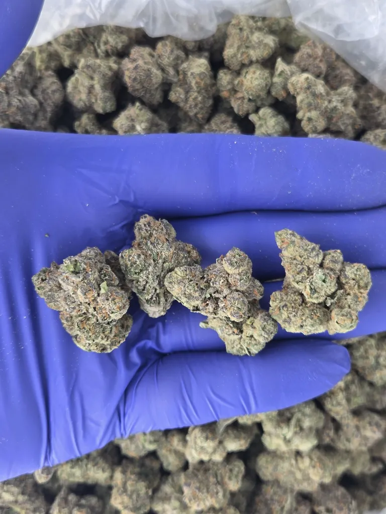 Rainbow runtz nugs.webp