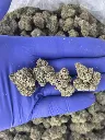 Rainbow runtz nugs.webp