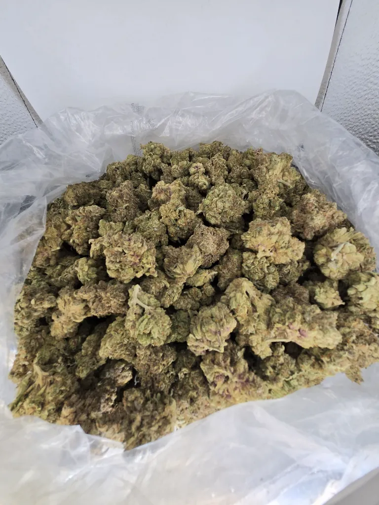 Strawberry cream 1.webp