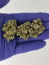 Toad venom nugs.webp