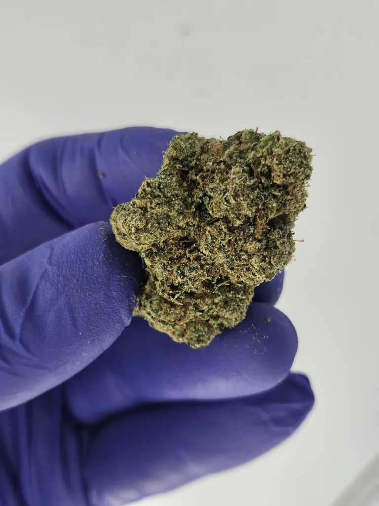 Toad venon nug.webp