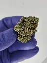 Toad venon nug.webp