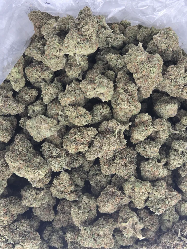 Gelato Cake 3.webp