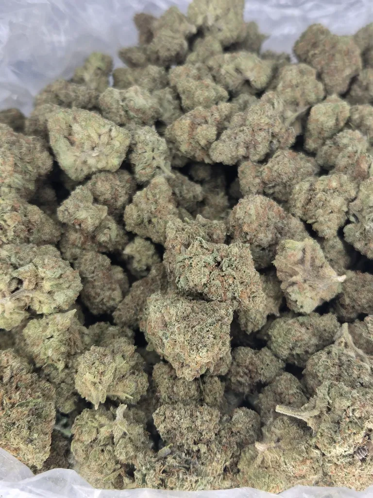 Gelato cake 2.webp