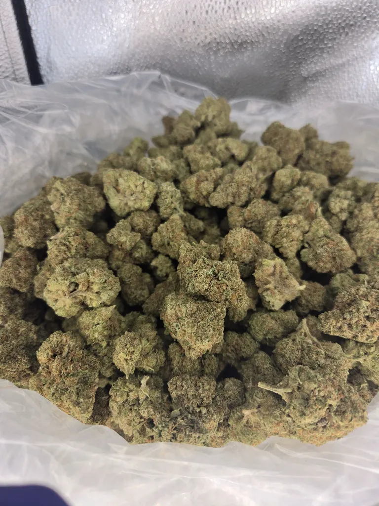 Gelato cake 1.webp