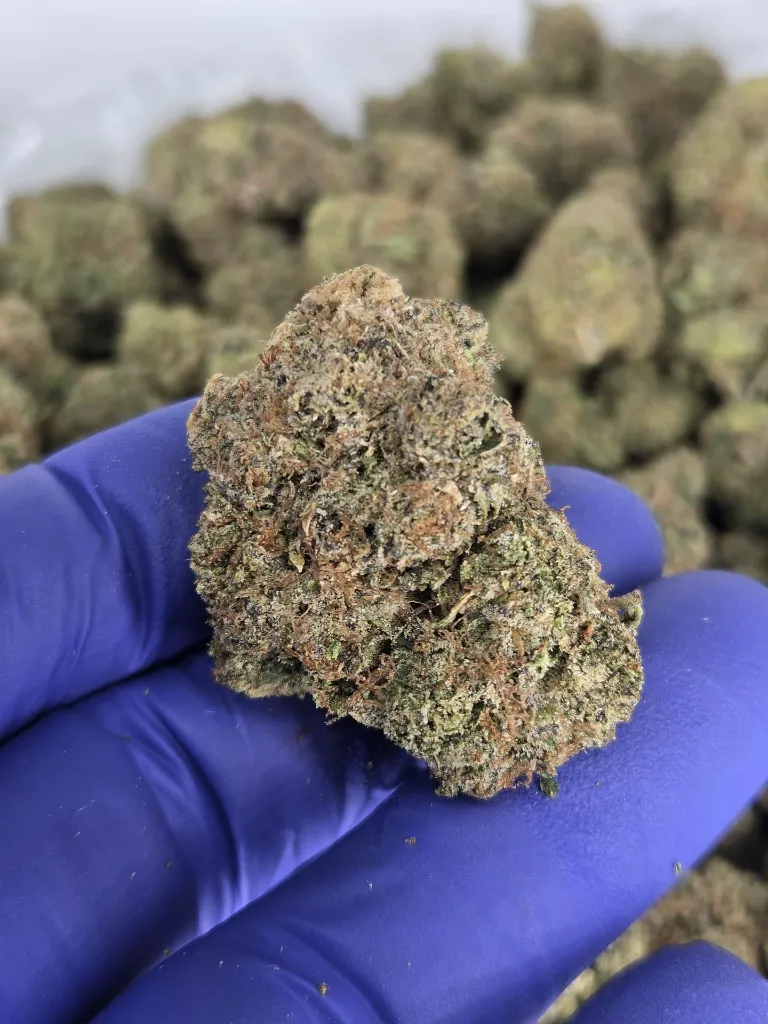 Candy x nug.webp