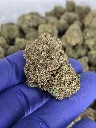 Candy x nug.webp