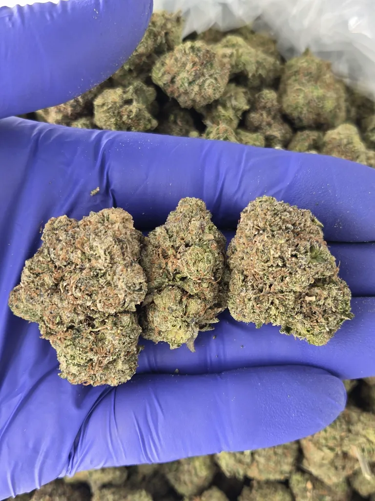 Candy x nugs.webp