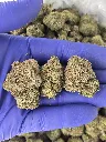 Candy x nugs.webp
