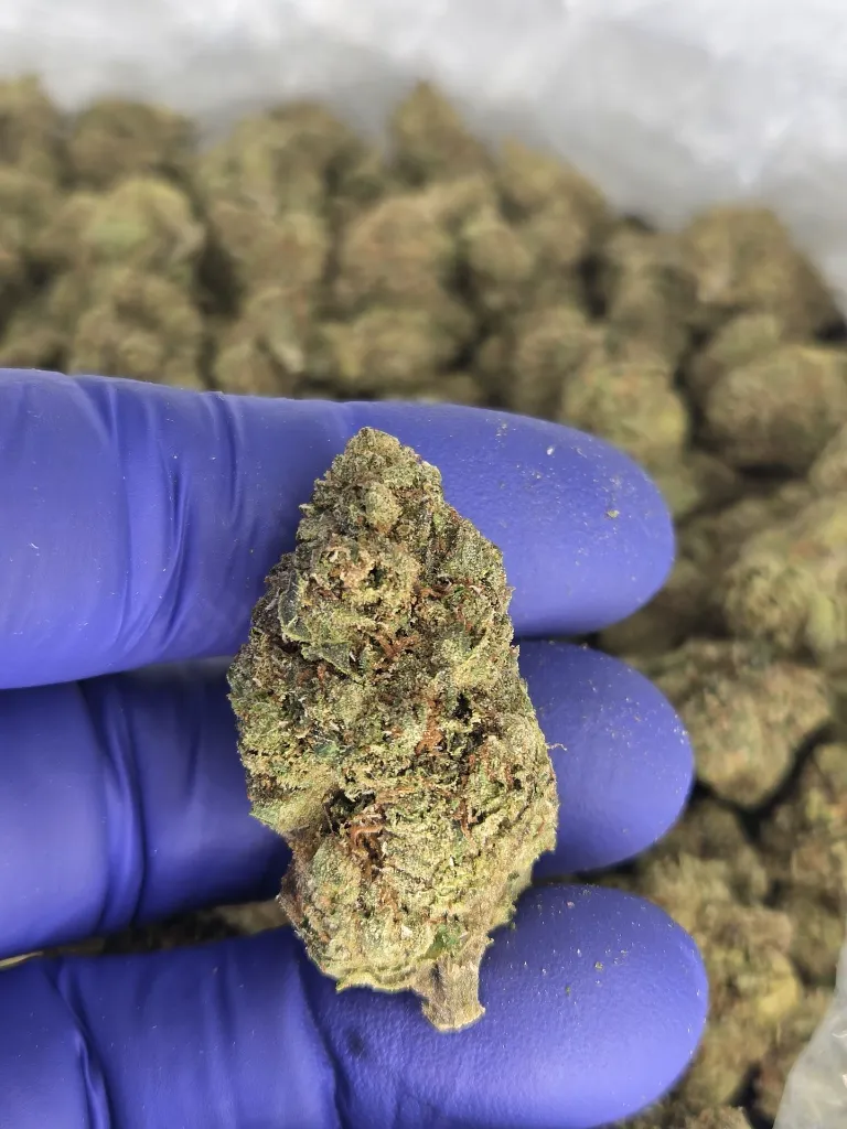 Pink runtz nug.webp