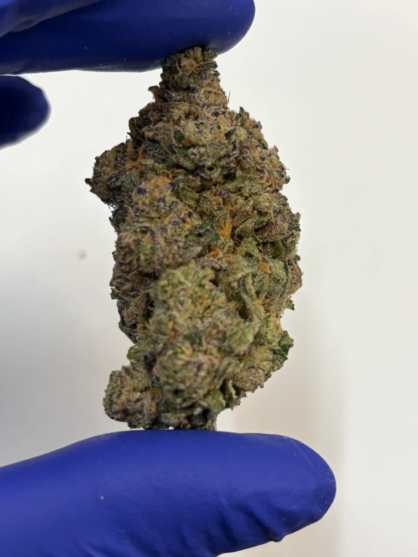 Blue Taffy (4oz Jar)