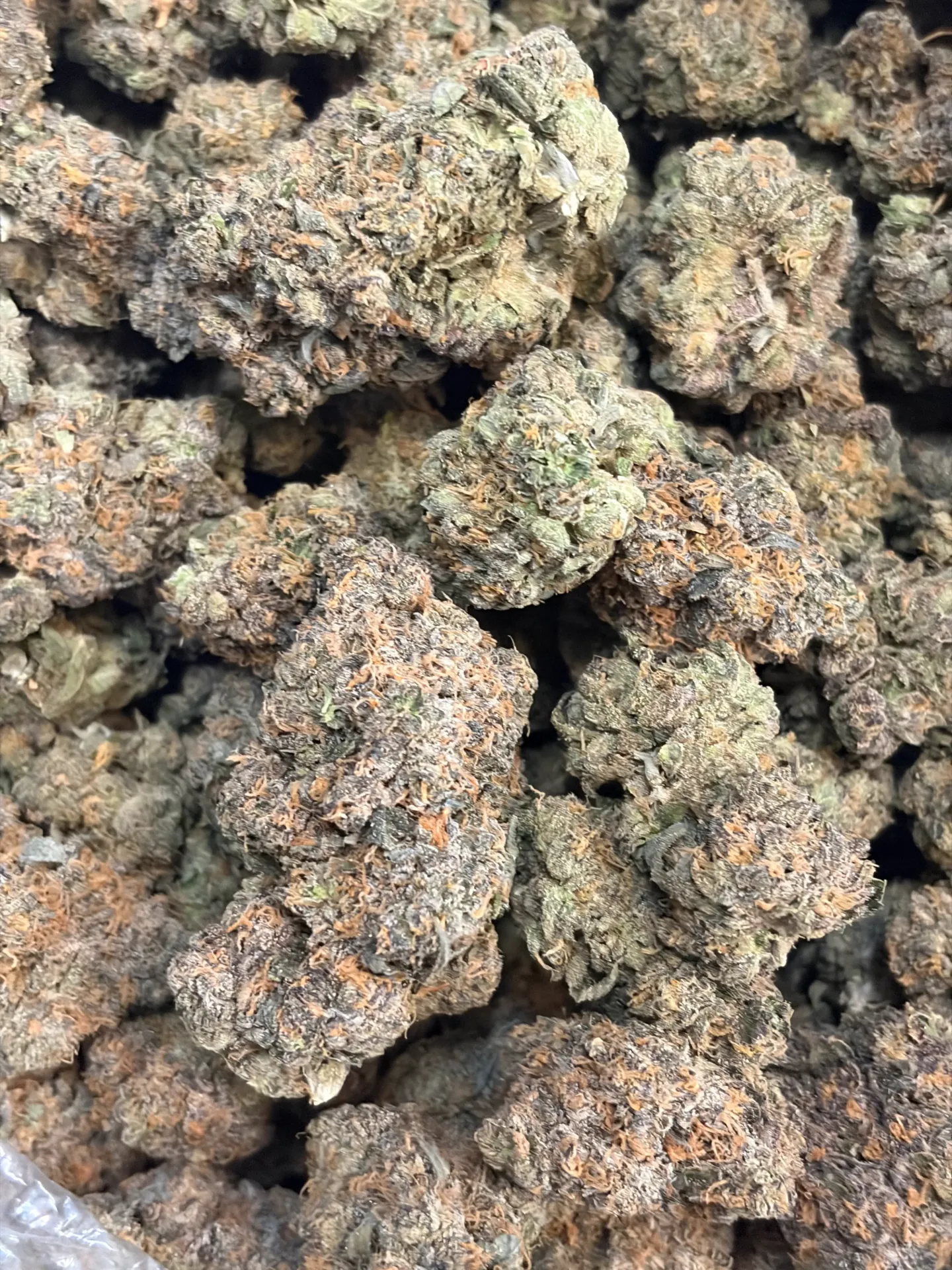 Sherbert