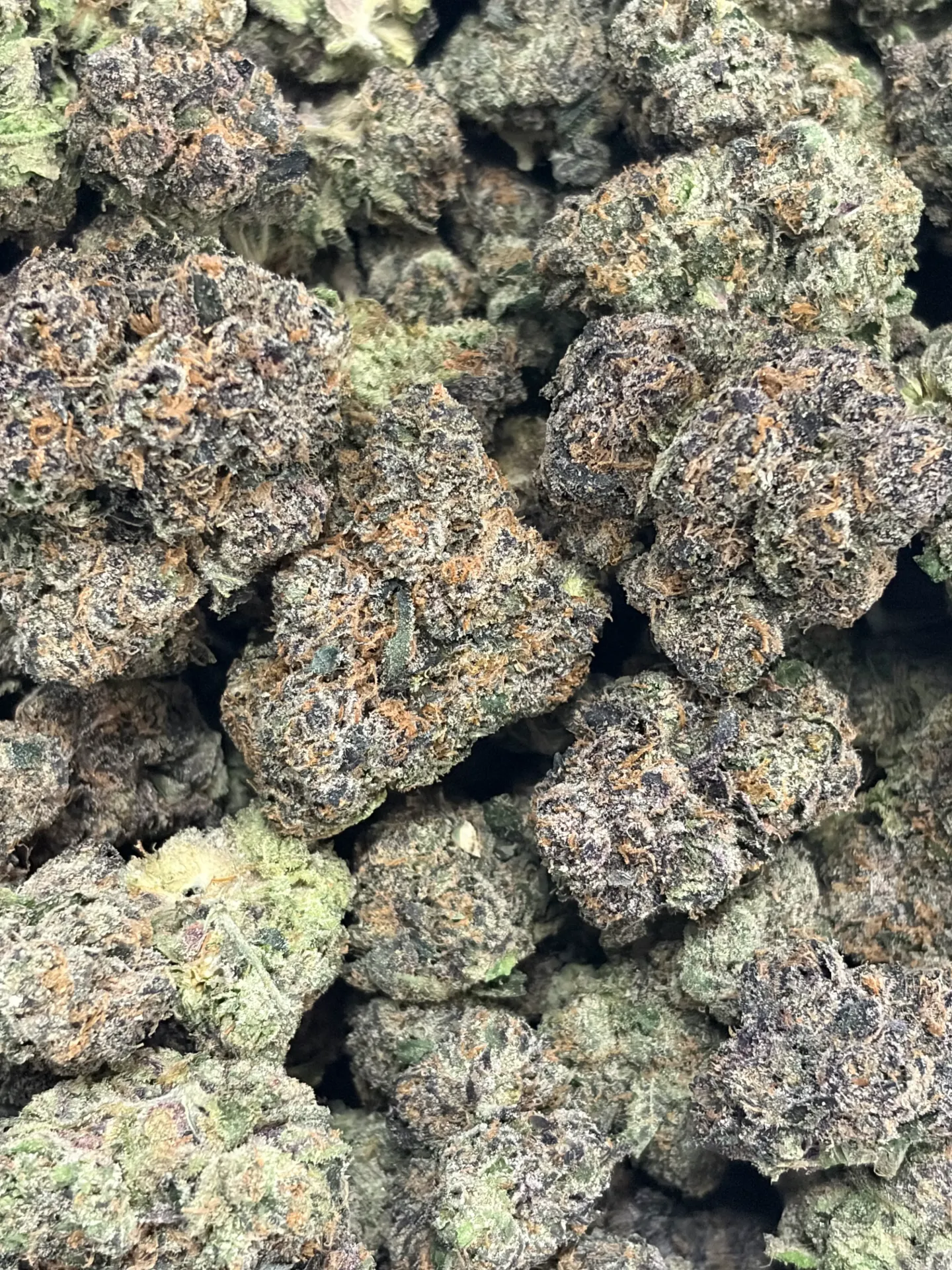 Lemon Cherry Gelato (4oz Jar)